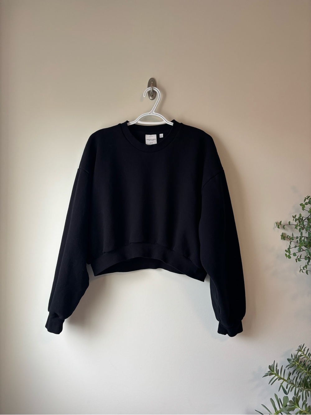 Aritzia Cozy Fleece Mega Fit Cropped Crew Sweatshirt